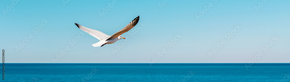 seagull soaring over calm ocean under clear blue sky seagull soaring over calm ocean under clear blue sky