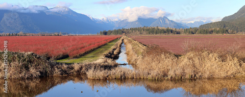 Farm fields of British Columbia Canada 