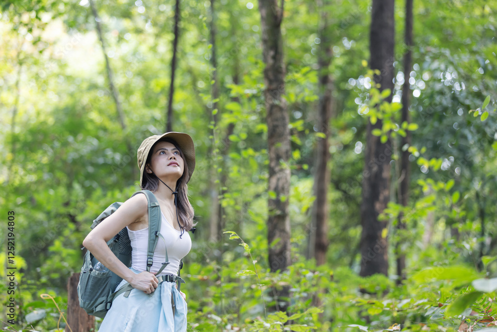 A young woman in a sun hat and backpack stands in a lush green forest, gazing up at the tall trees with a peaceful expression. A young woman in a sun hat and backpack stands in a lush green forest, gazing up at the tall trees with a peaceful expression.