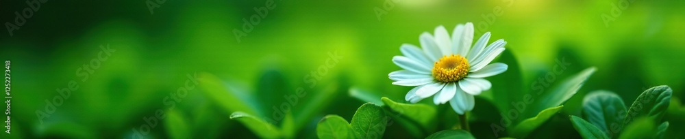 Delicate daisy nestled in a bed of emerald leaves, greens, nature Delicate daisy nestled in a bed of emerald leaves, greens, nature