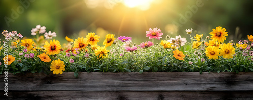 Sunny garden flowers in wooden planter