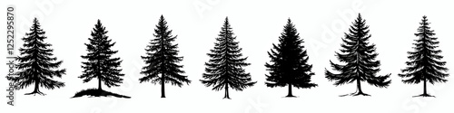 Vector Silhouette Set of Evergreen Pine Tree in Forest Landscape - Nature & Seasonal Design Illustration