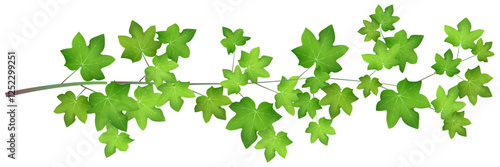 新緑　観葉植物　アイビー　アイコン