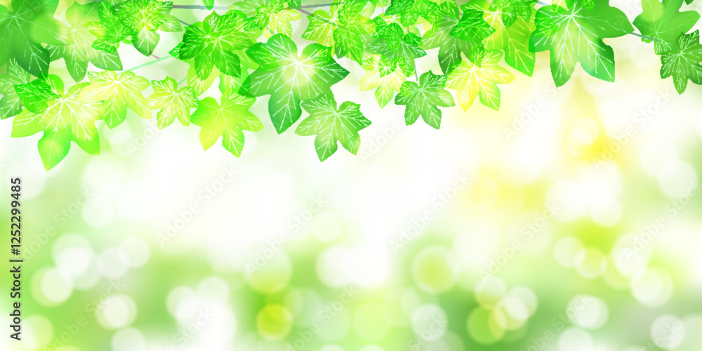 Fototapeta premium 新緑 観葉植物 アイビー 背景