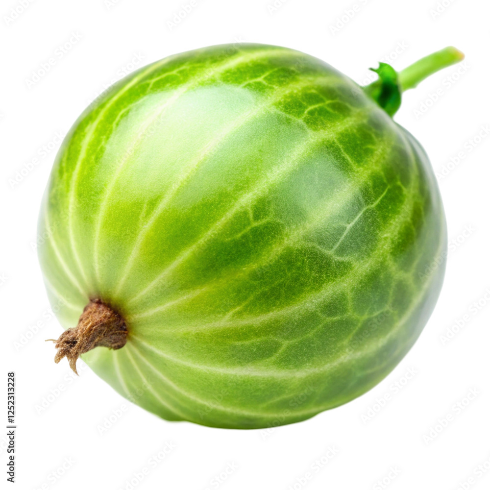 Green Gooseberry Banner Isolated on White Background Green Gooseberry Banner Isolated on White Background