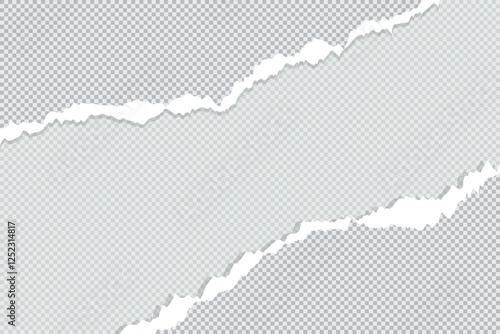 Ripped Torn paper sheet edge on Blank background with curled page