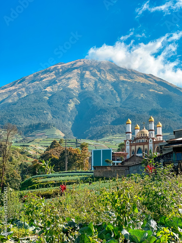 View of the mosque with domes and minarets and mountain background