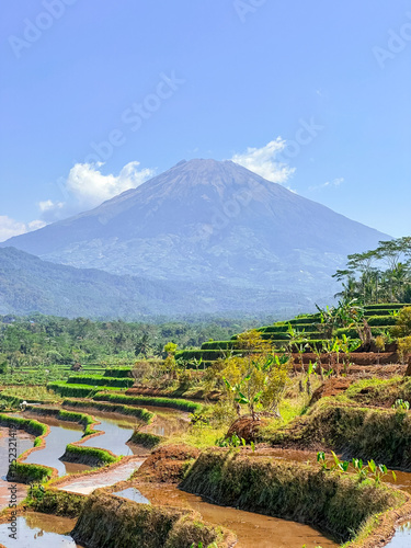 Rice terraces filled with water and a background of mountains and blue sky