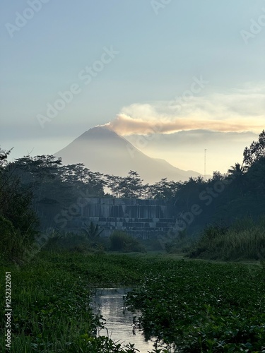 a stream filled with aquatic plants with a mountain background in the morning