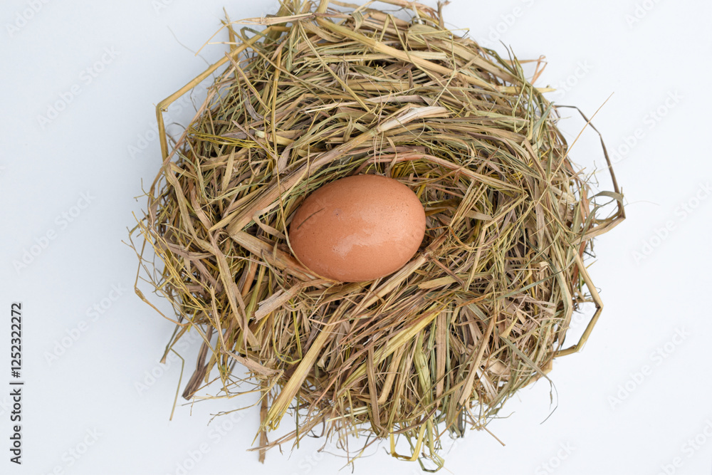 Raw chicken eggs in a nest on a straw pillow, isolated white background. top view. Easter holiday concept Raw chicken eggs in a nest on a straw pillow, isolated white background. top view. Easter holiday concept