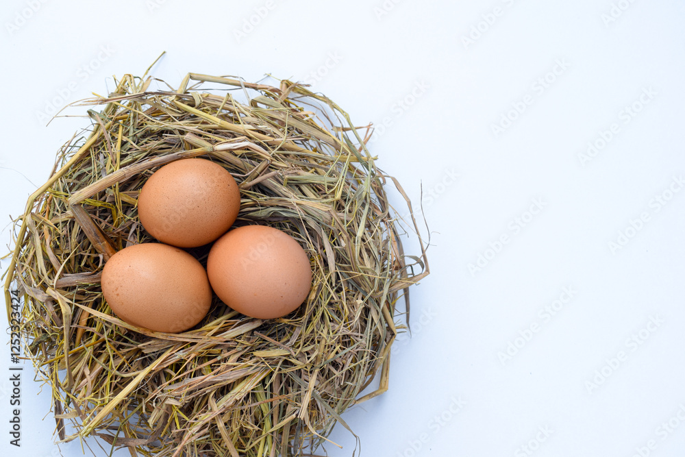 Several fresh brown chicken eggs in straw isolated on white background. Easter concept, suitable for Happy Easter Decoration, template for tag, gift greeting card, shopping banner, advertising promo. Several fresh brown chicken eggs in straw isolated on white background. Easter concept, suitable for Happy Easter Decoration, template for tag, gift greeting card, shopping banner, advertising promo.