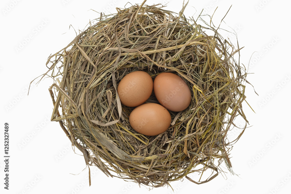 Several fresh brown chicken eggs in straw isolated on white background. Easter concept, suitable for Happy Easter Decoration, template for tag, gift greeting card, shopping banner, advertising promo. Several fresh brown chicken eggs in straw isolated on white background. Easter concept, suitable for Happy Easter Decoration, template for tag, gift greeting card, shopping banner, advertising promo.