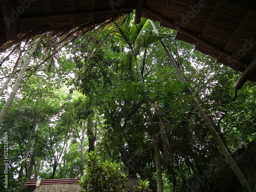 View of Nam Phut tourist attractions Under Chulaphon Dam, Chaiyaphum photo