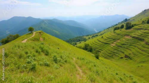 Scenic Green Hills with Winding Paths and Mountainous Backdrop photo