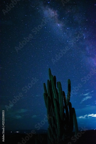 A stunning nighttime view of a desert observatory under a clear starry sky, framed by a tall cactus in the foreground. Captured in the Tatacoa Desert, Colombia, this photograph highlights the beauty