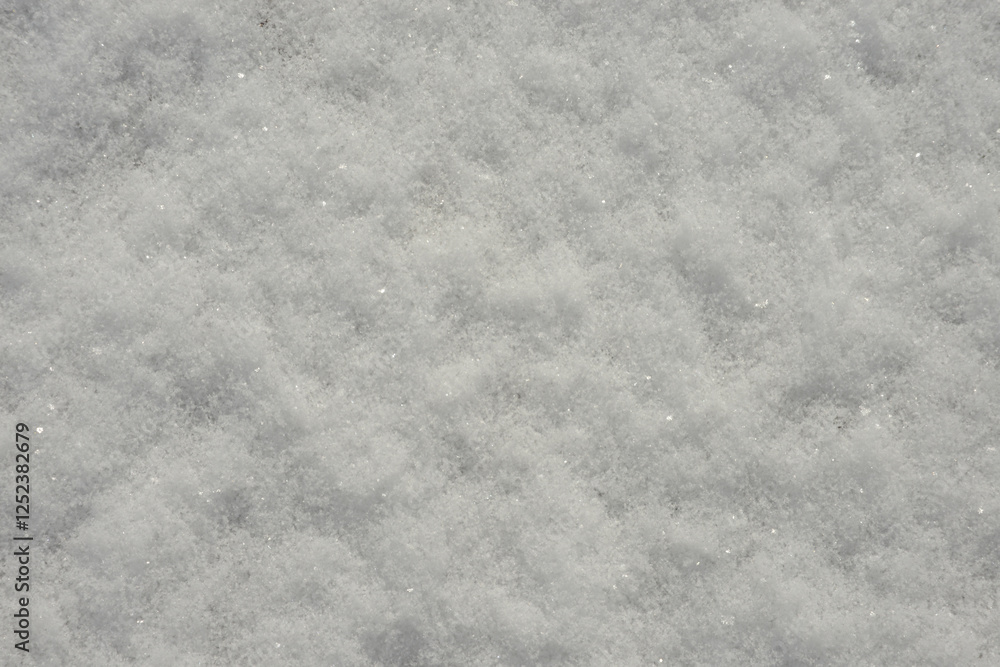 Fototapeta premium 雪肌 雪の模様