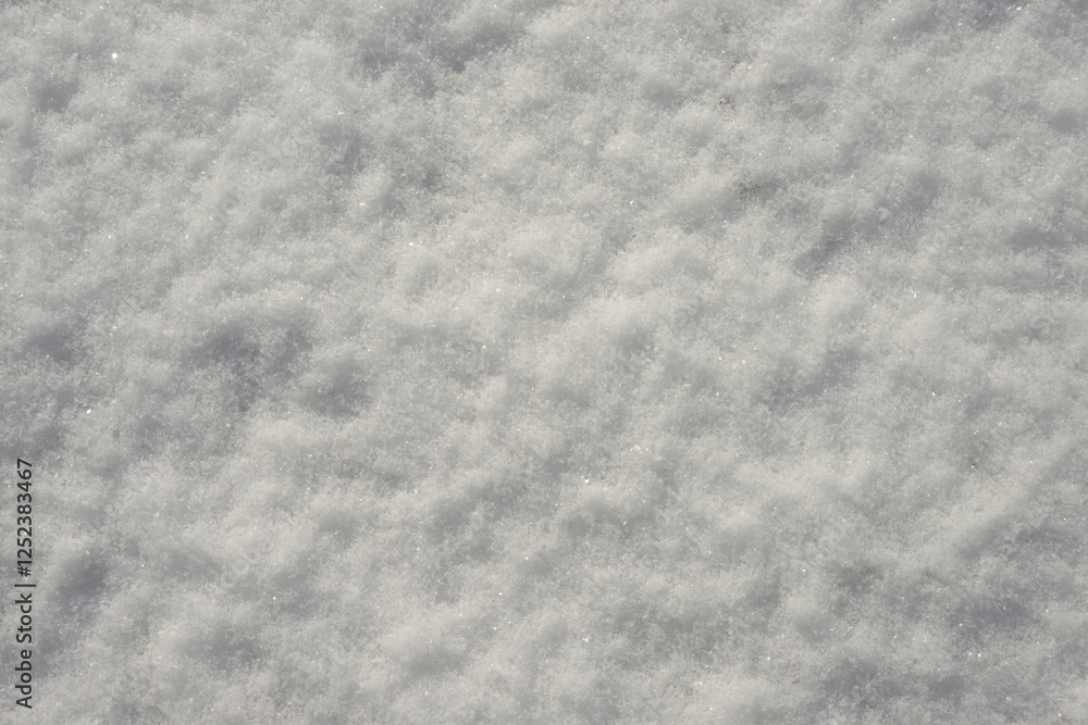 Fototapeta premium 雪肌 雪の模様