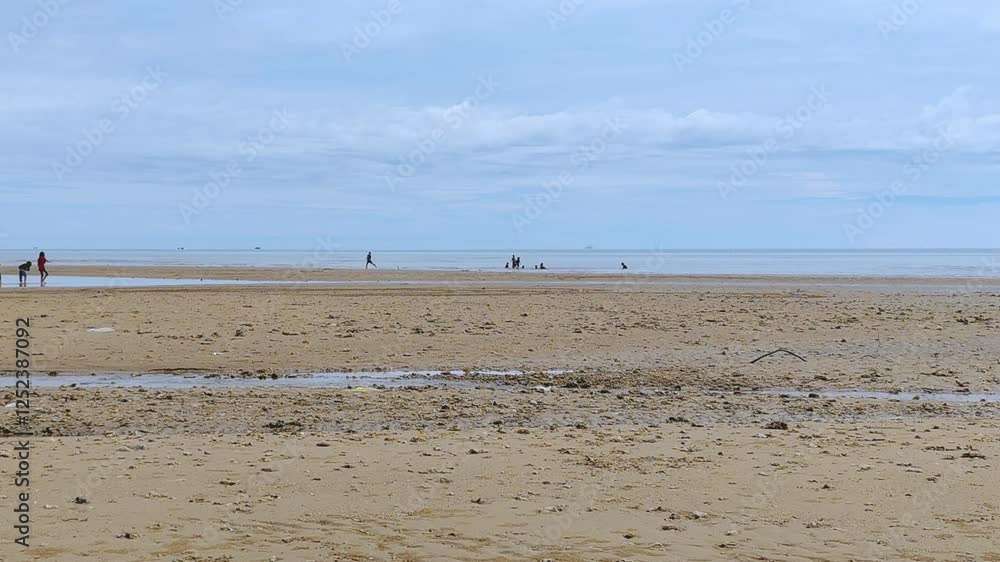 Scenic Beach Landscape With People Enjoying a Clear Day By The Shore Scenic Beach Landscape With People Enjoying a Clear Day By The Shore