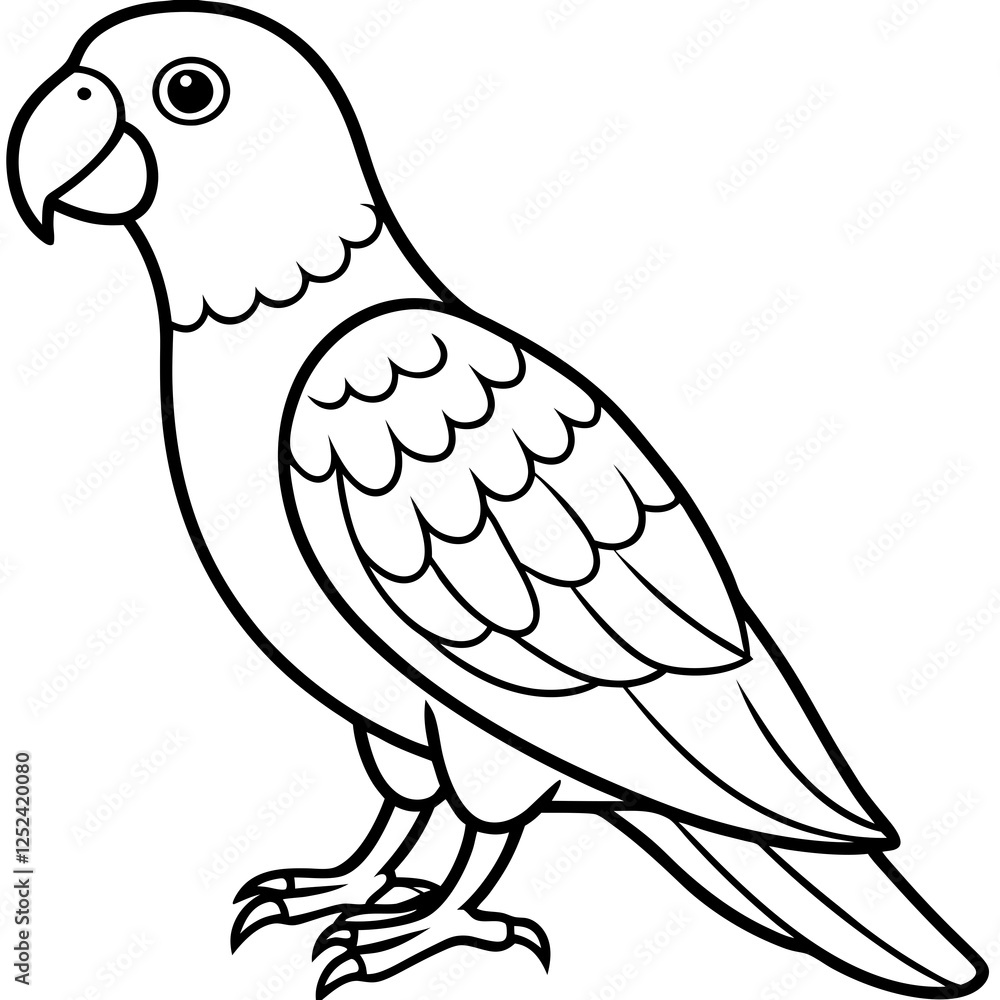 African Gray Parrot Line Art Vector on White Background African Gray Parrot Line Art Vector on White Background