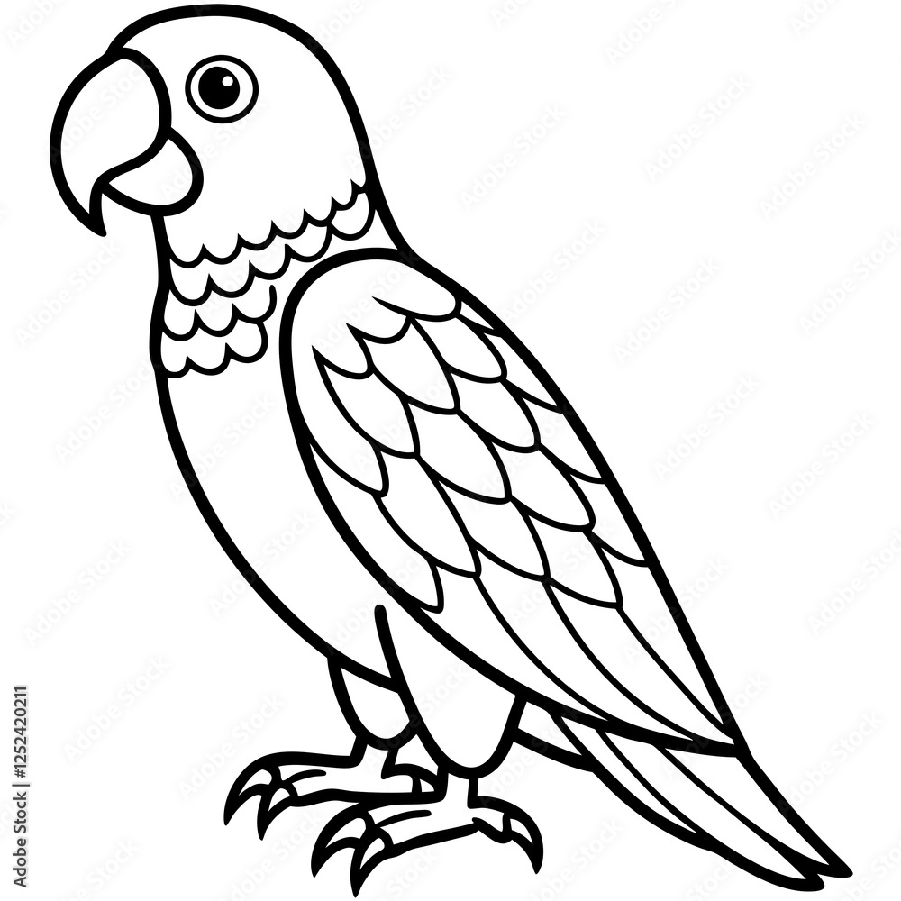 African Gray Parrot Line Art Vector on White Background African Gray Parrot Line Art Vector on White Background