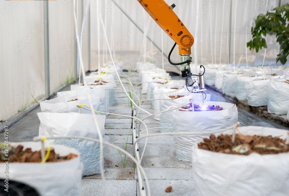 Smart robot farmer in agriculture Future automatic robot arm picks fruit Agricultural technology
