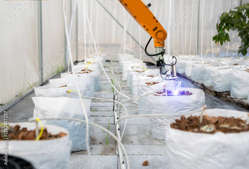 Obraz na płótnie Smart robot farmer in agriculture Future automatic robot arm picks fruit Agricultural technology w salonie