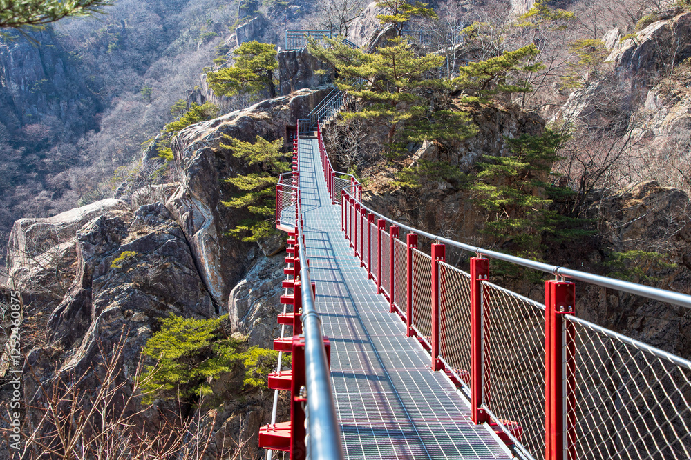 Obraz premium 대둔산 구름다리