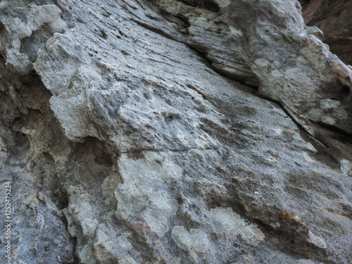 Close-up gray stone texture for nature and environment background.     