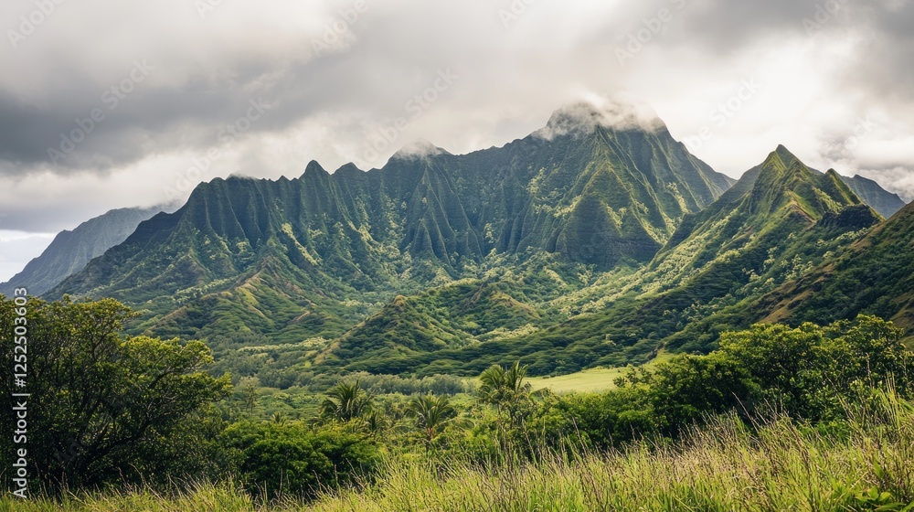 Fototapeta premium Lush green mountain range under a cloudy sky in a tropical paradise