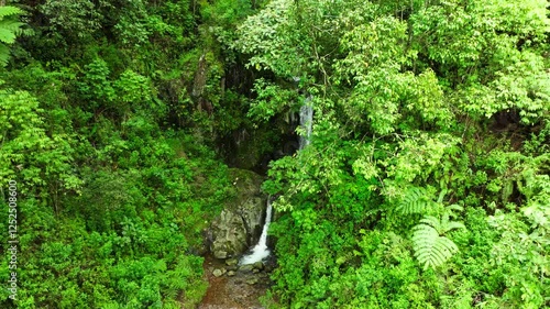 Waterfall at green forest