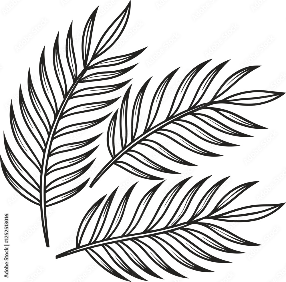 Obraz premium Three Palm Fronds, Line Art, Botanical Illustration, Tropical Design, Nature
