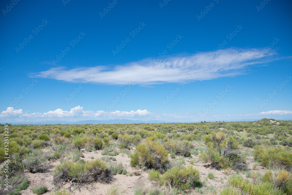 fields of sagebrush in southern Colorado fields of sagebrush in southern Colorado