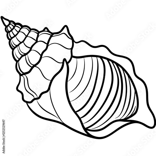 Elegant seashell illustration in with spiral patterns, simple vector