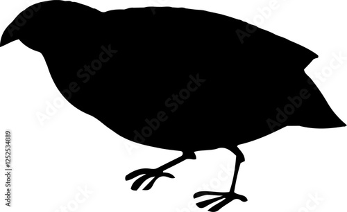 Partridge Bird Black Vector Silhouette on White Background