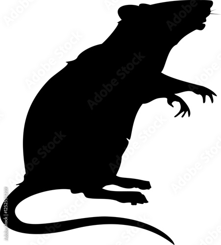 Rat Nature Rodent Vector Illustration Black Silhouette on White Background