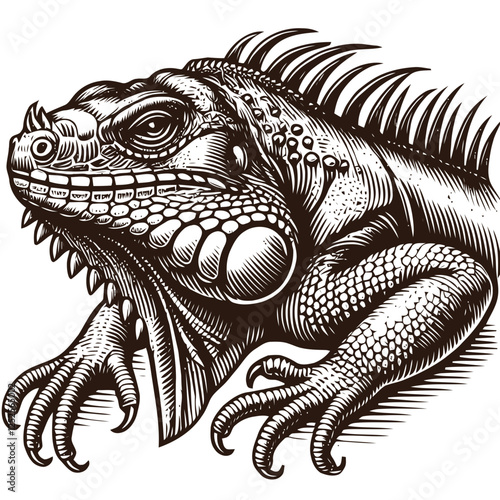 Stylized Illustration of an Iguana
