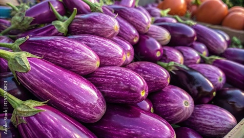 Wallpaper Mural Harvesting glossy purple eggplants at a local market fresh produce display natural lighting close-up view for culinary inspiration Torontodigital.ca