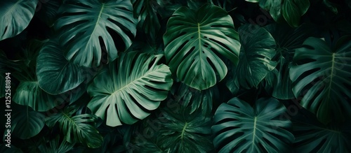 Fototapeta Naklejka Na Ścianę i Meble -  Lush green tropical leaves background.