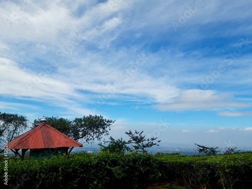 Kuneer Hill is located on the slopes of Mount Arjuno, this place features a scenic Wonosari tea garden area. photo