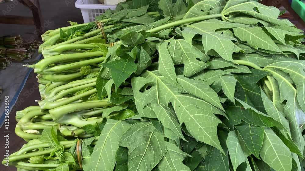 Papaya leaf vegetable on the table Papaya leaf vegetable on the table