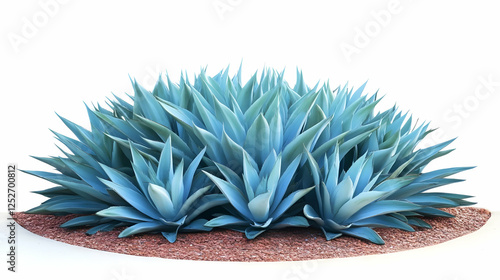 Agave Plant Realistic Image