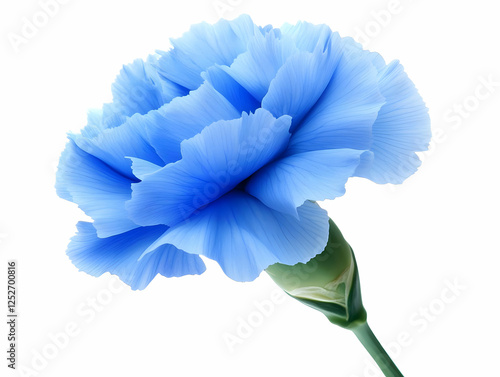 Blue Carnation Flower Illus...
