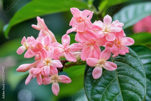 Blooming pink flowers attract pollinators in a vibrant spring garden setting