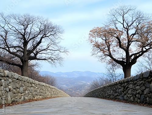 Stone Wall Pathway Landscap...
