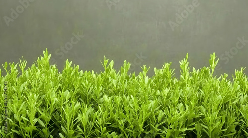 Vibrant Green Foliage Illus...