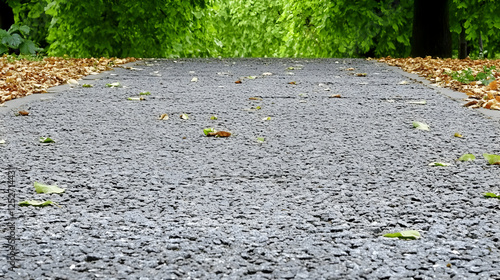 Grey Asphalt Path, Green Tr...