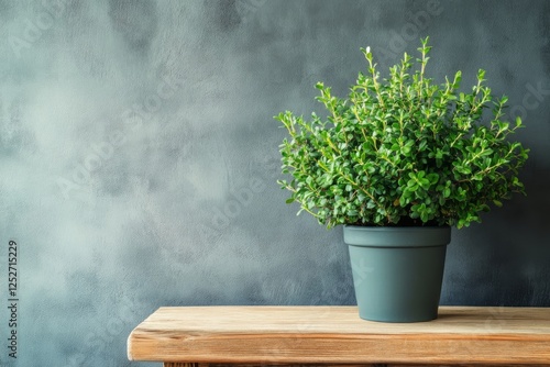 Green potted plant on wooden table against rustic wall background in natural ...