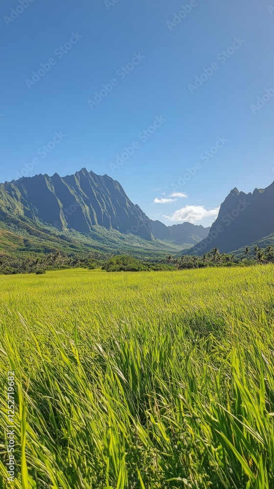 Fototapeta premium Breathtaking view of mountainous landscape with golden grass under clear blue sky