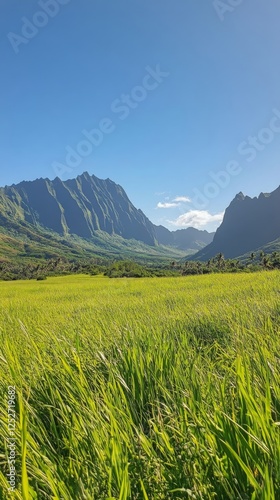 Breathtaking view of mountainous landscape with golden grass under clear blue...