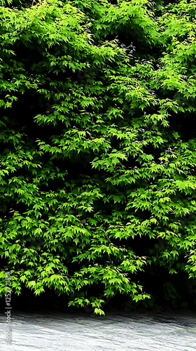Lush Green Leaves Illustration
